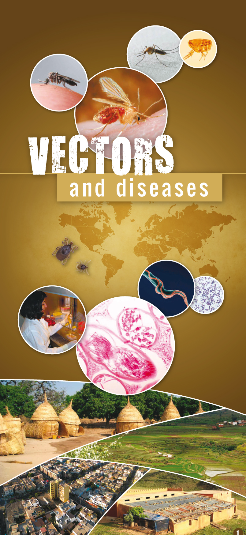 leaflet_exhibition_vectors_p1.jpg