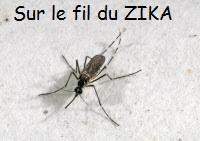 sur_le_fil_du_zika.jpg